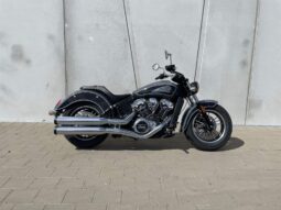 2021 Indian Scout