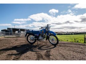 2021 Yamaha AG200