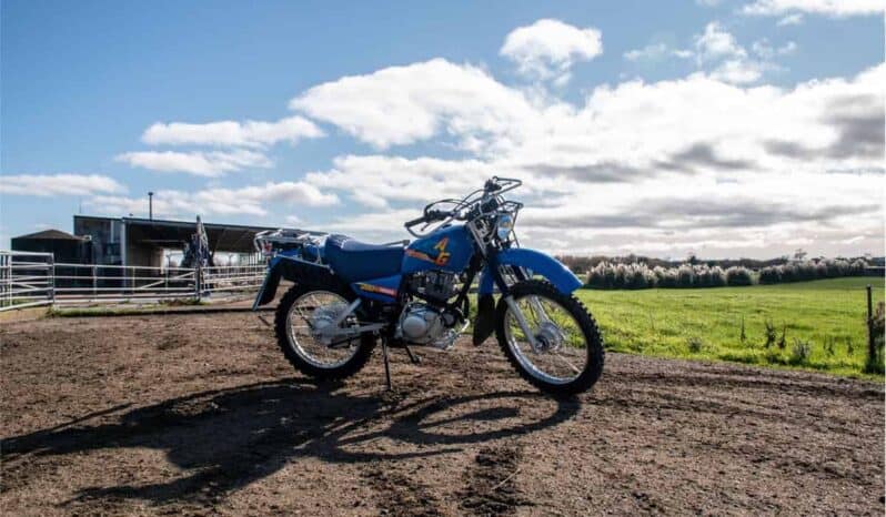 2021 Yamaha AG200