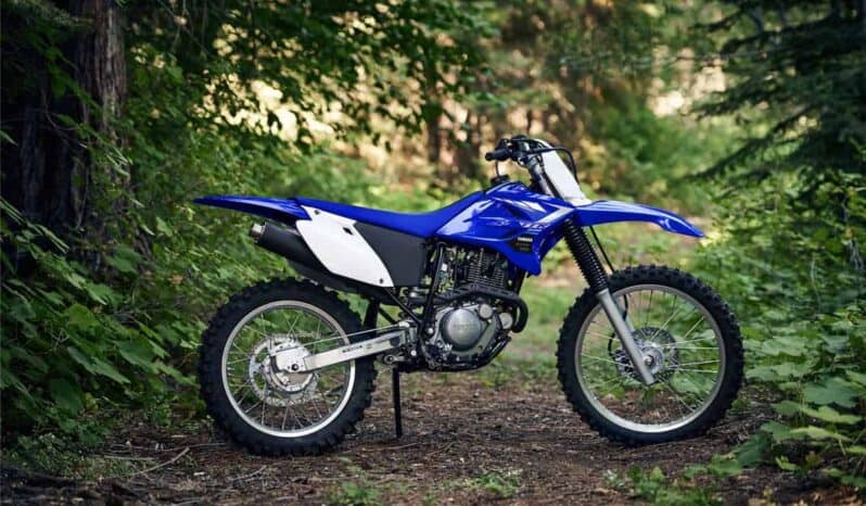 2020 Yamaha TT-R230