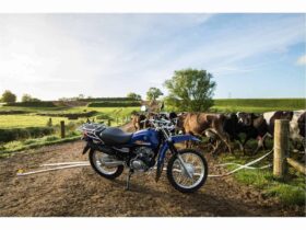 2021 Yamaha AG125