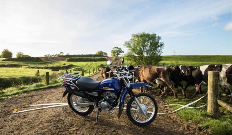 2021 Yamaha AG125