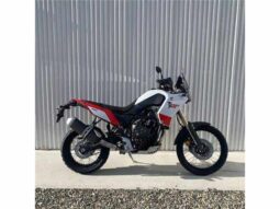 2021 Yamaha Tenere 700 (XTZ690)