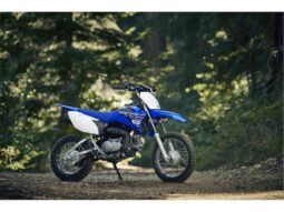 2021 Yamaha TT-R110E