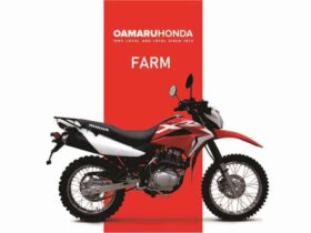2021 Honda XR150L