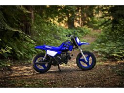 2022 Yamaha PeeWee 50 (PW50)