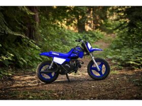 2022 Yamaha PeeWee 50 (PW50)