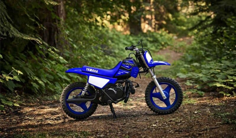 2022 Yamaha PeeWee 50 (PW50)