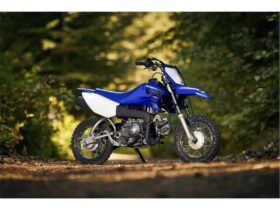 2022 Yamaha TT-R50E