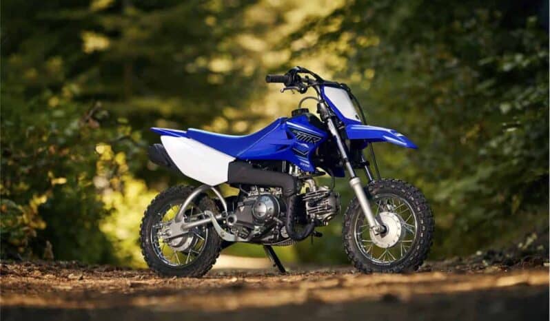 2022 Yamaha TT-R50E