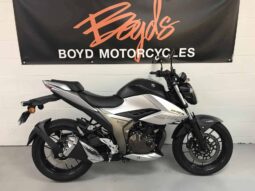 2020 Suzuki GSX-R250R