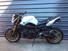 2010 Yamaha FZ8N