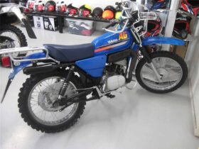 2016 Yamaha AG100