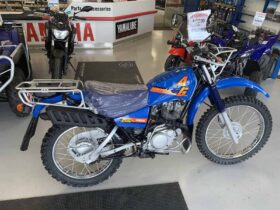 2021 Yamaha AG200