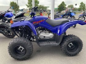 2021 Yamaha Grizzly 90 (YFM90RYX)
