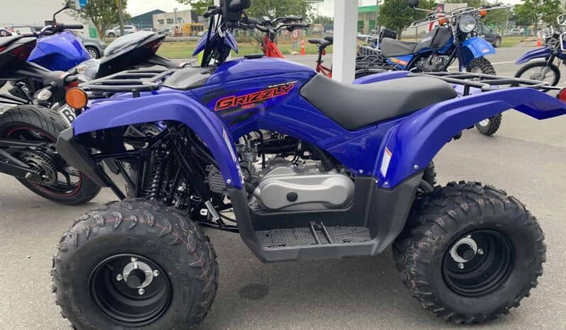 2021 Yamaha Grizzly 90 (YFM90RYX)