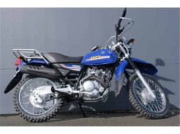 2021 Yamaha AG125