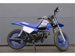 2021 Yamaha PeeWee 50 (PW50)