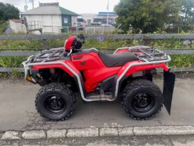 2019 Honda TRX500FM6