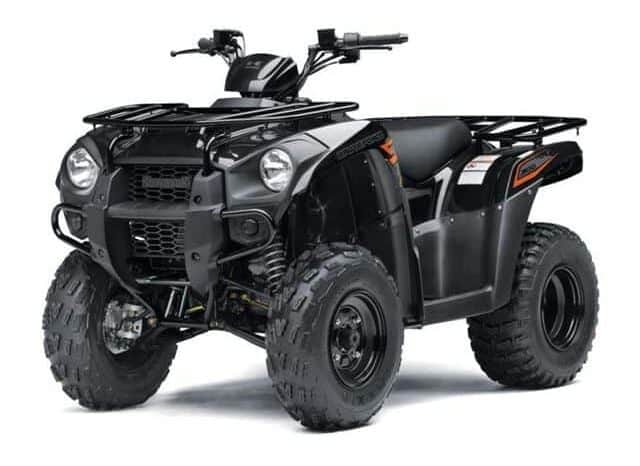 2021 Kawasaki Brute Force 300 (KVF300C)