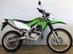 2021 Kawasaki KLX230