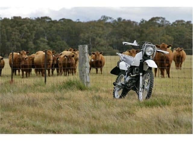 2021 Suzuki Trojan (DR200SE)