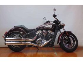 2021 Indian Scout