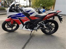 2014 Honda CBR300R