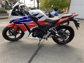 2014 Honda CBR300R