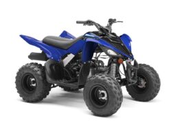 
										2022 Yamaha Raptor 90 (YFM90R) full									