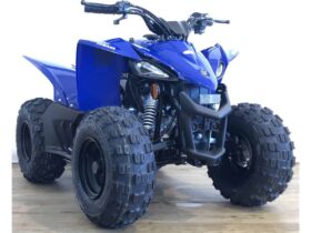 2022 Yamaha YFZ50