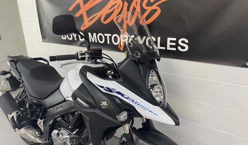 
								2021 Suzuki V-Strom 650 ABS (DL650A) full									