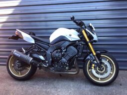 
										2010 Yamaha FZ8N full									