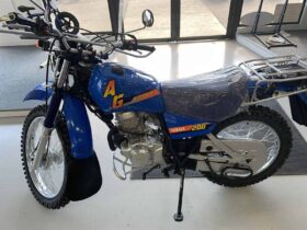 2021 Yamaha AG200