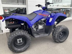 2021 Yamaha Grizzly 90 (YFM90RYX)