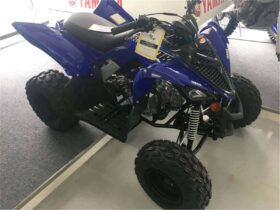 2021 Yamaha Raptor 90 (YFM90R)