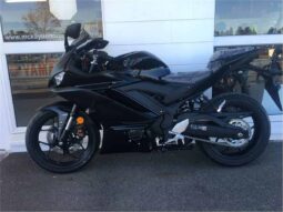 
										2021 Yamaha YZF-R3 full									