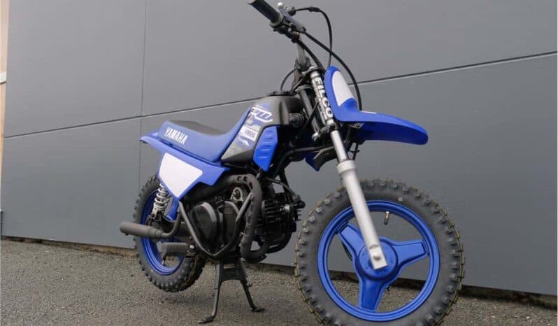 
								2021 Yamaha PeeWee 50 (PW50) full									