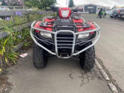 
										2019 Honda TRX500FM6 full									