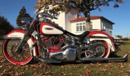 
										2006 Harley-Davidson Softail Deluxe 1690 (FLSTN) full									