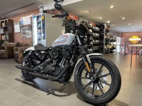 2021 Harley-Davidson Iron 1200 (XL1200NS)