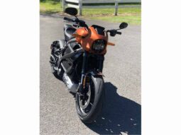 
										2021 Harley-Davidson LiveWire full									