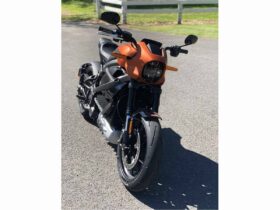 2021 Harley-Davidson LiveWire