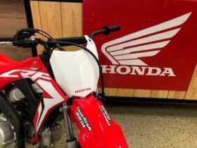 2021 Honda CRF110F