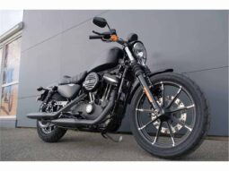
										2021 Harley-Davidson Iron 883 (XL883N) full									