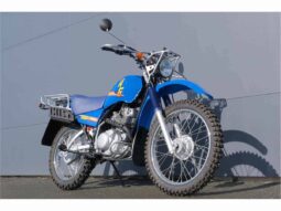 
										2021 Yamaha AG200EA full									