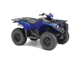 2021 Yamaha Kodiak 450 EPS 4WD Auto (YFM450FBP)