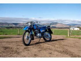 2021 Yamaha AG200