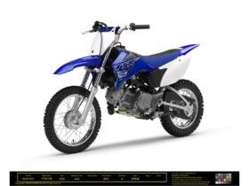 2021 Yamaha TT-R110E
