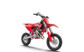 2022 Gas Gas MC 50